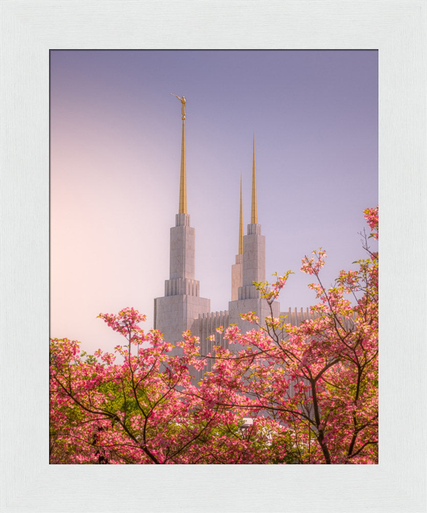 Washington DC Temple - Spires and Blooms