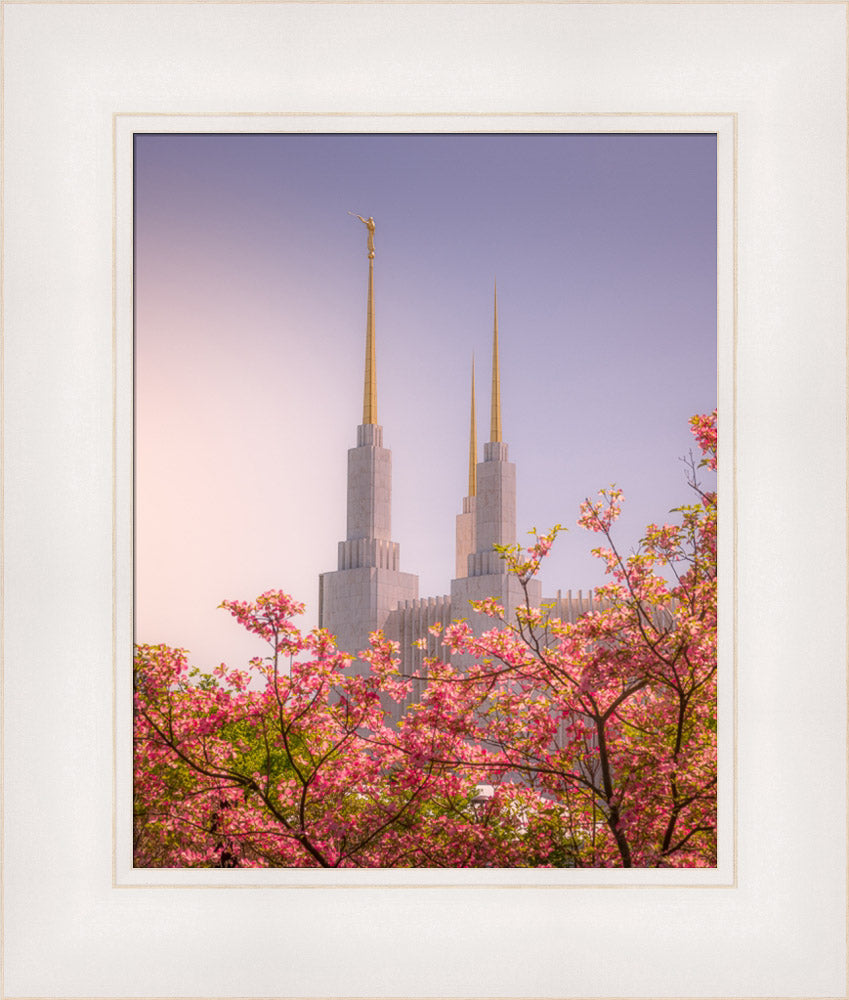 Washington DC Temple - Spires and Blooms