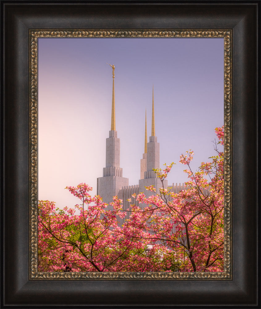 Washington DC Temple - Spires and Blooms