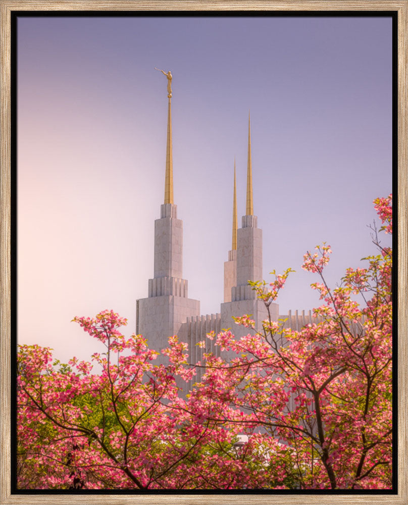 Washington DC Temple - Spires and Blooms