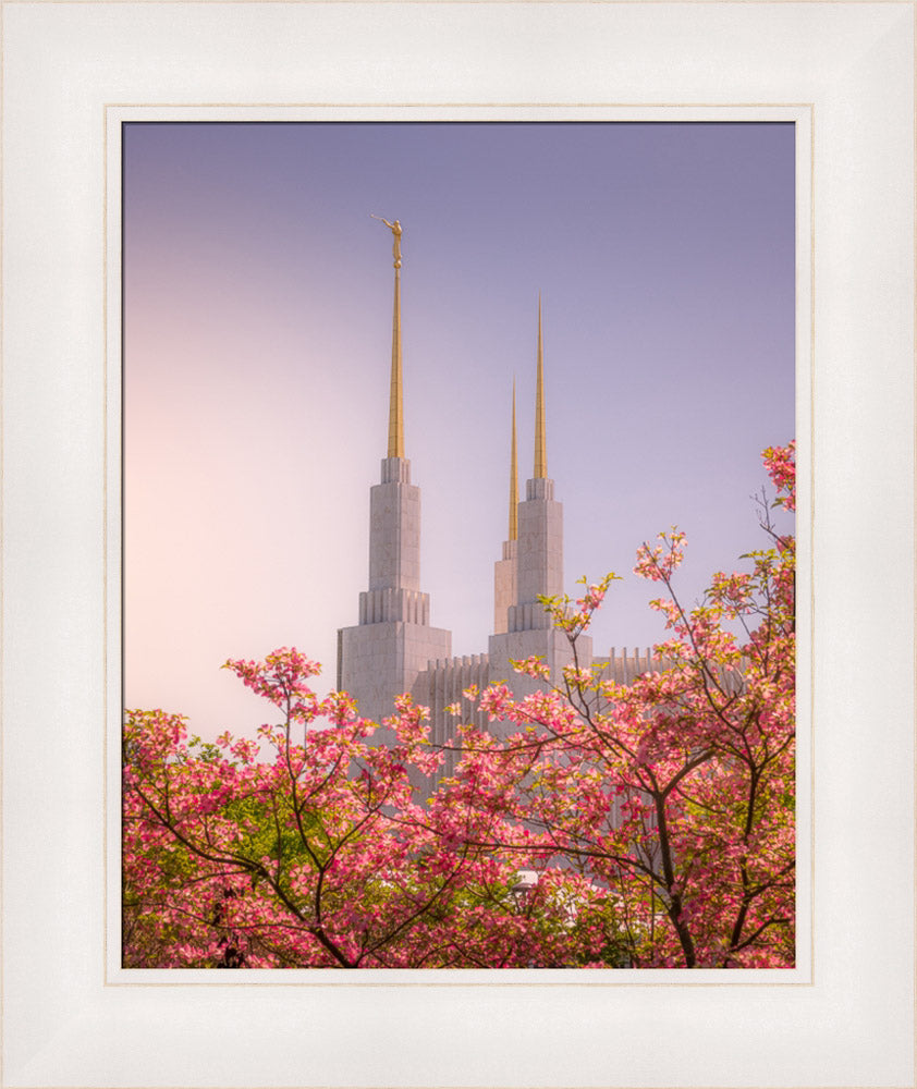 Washington DC Temple - Spires and Blooms