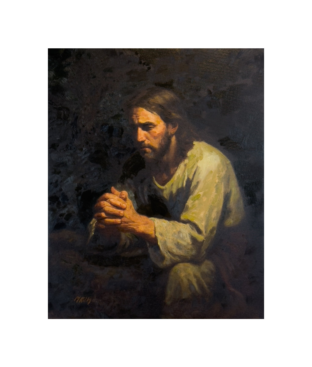 The Willing Son