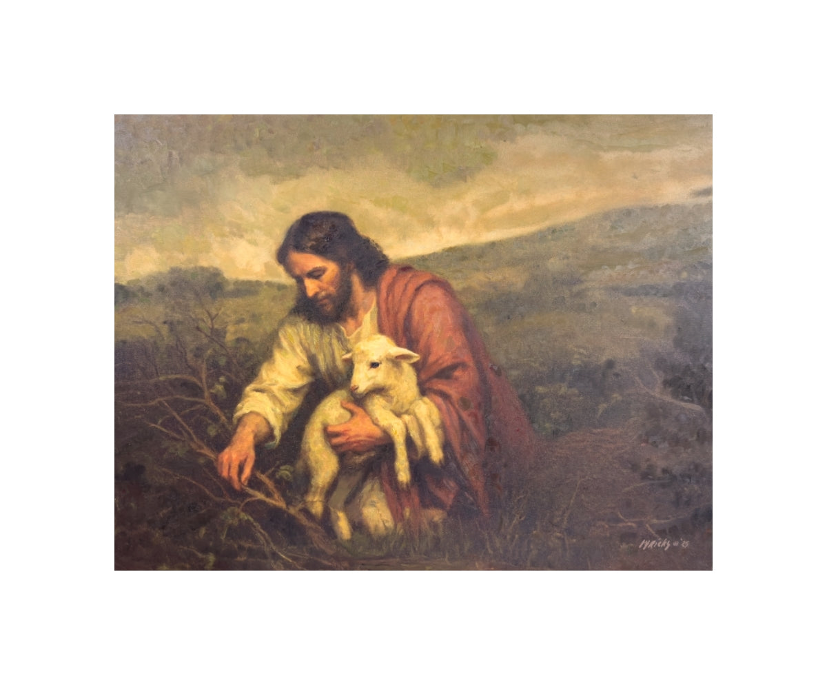 Wandering Lamb