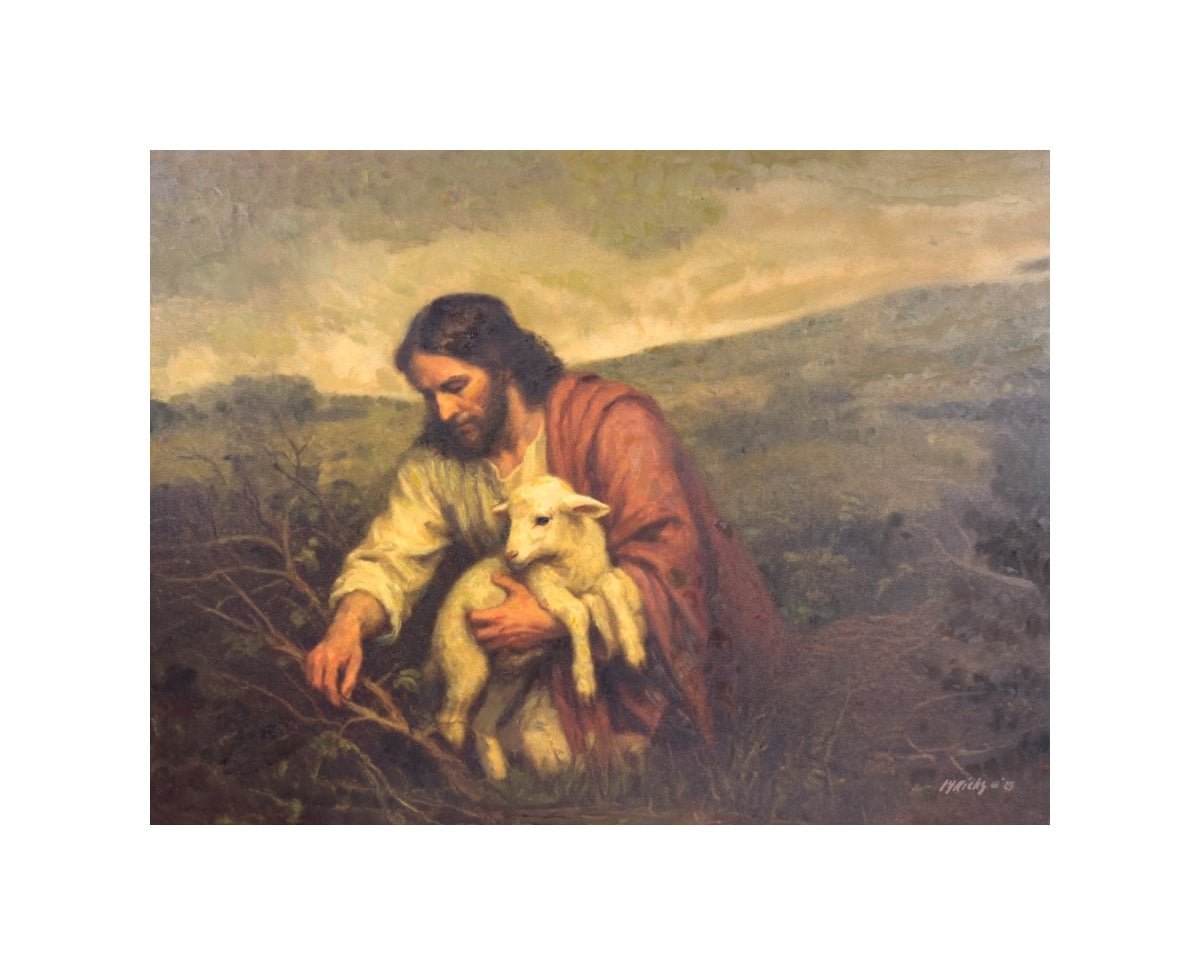 Wandering Lamb