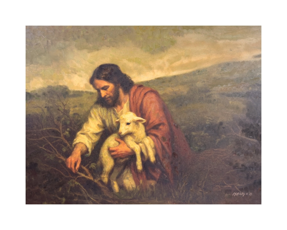 Wandering Lamb