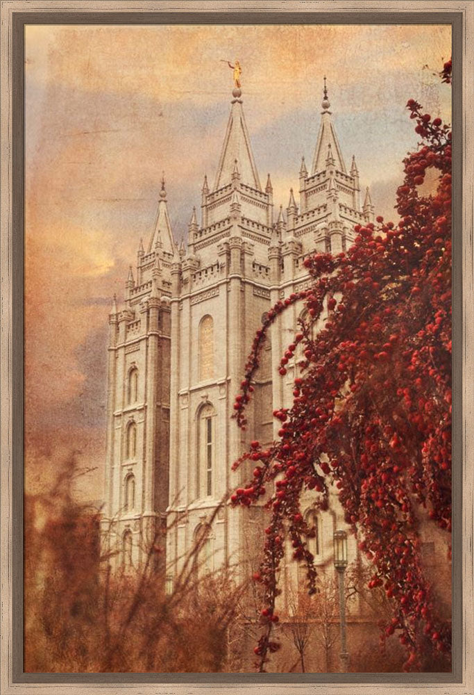 Transcendent by Mandy Jane Williams