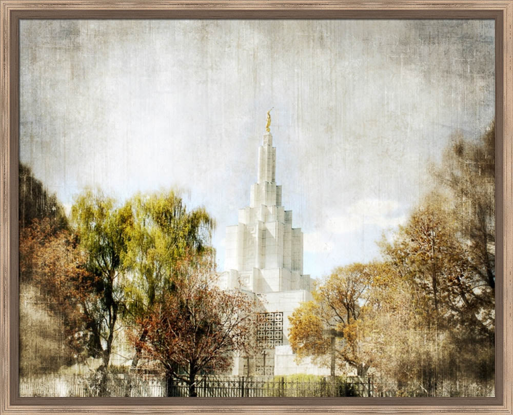 Idaho Falls Peaceful Trees by Mandy Jane Williams