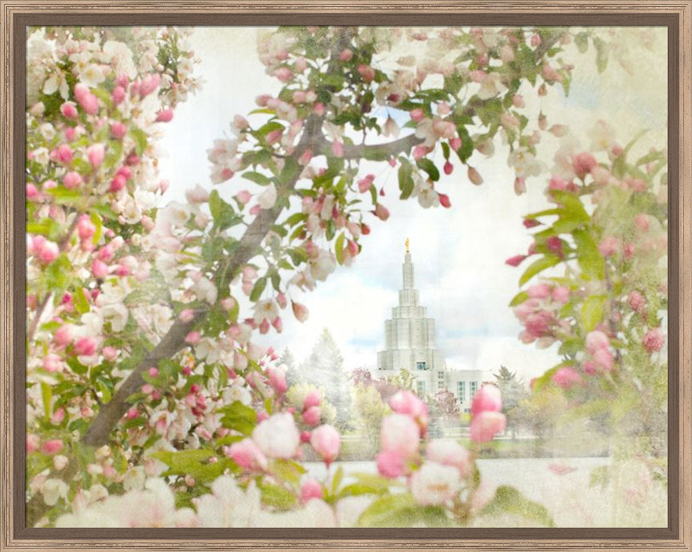 Idaho Falls Pink Spring by Mandy Jane Williams