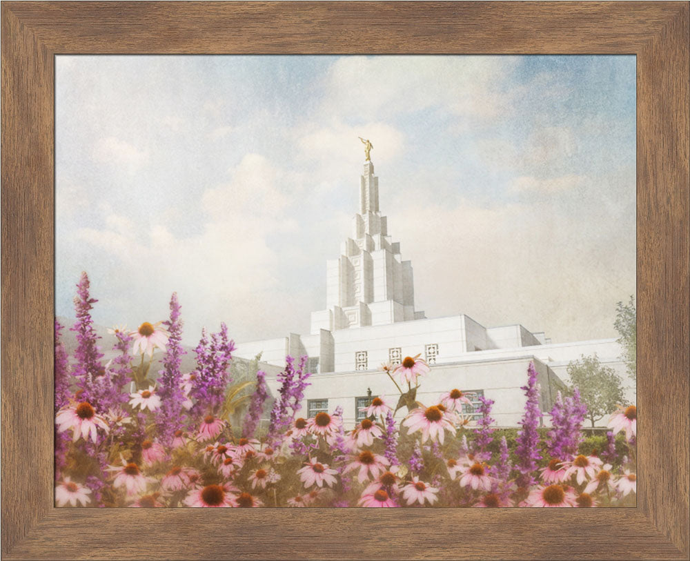 Idaho Falls Temple- Purple Flower