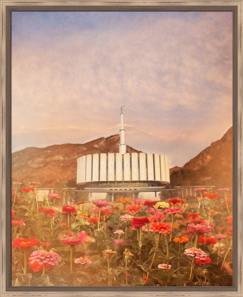 Provo Utah Temple - Flowers by Mandy Jane Williams