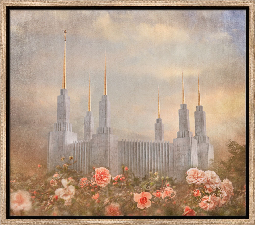 Washington DC Temple - American Rose by Mandy Jane Williams