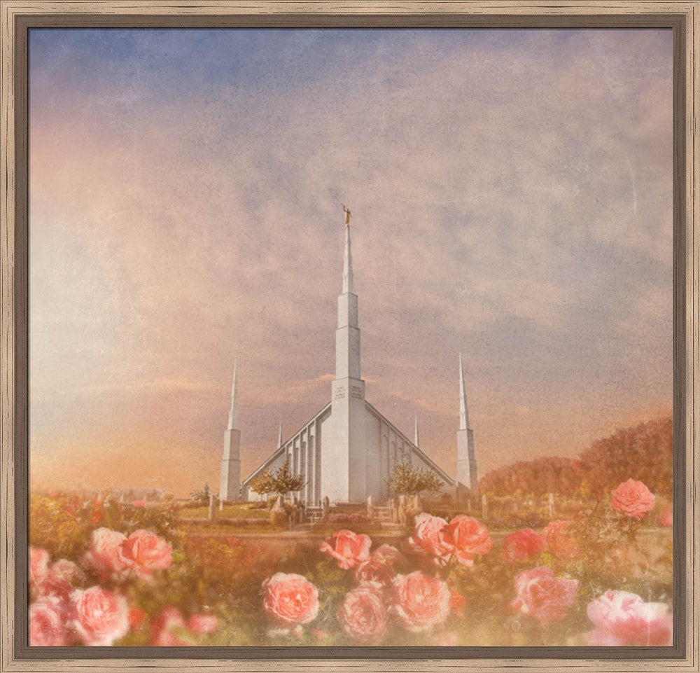 Boise Temple - Roses by Mandy Jane Williams