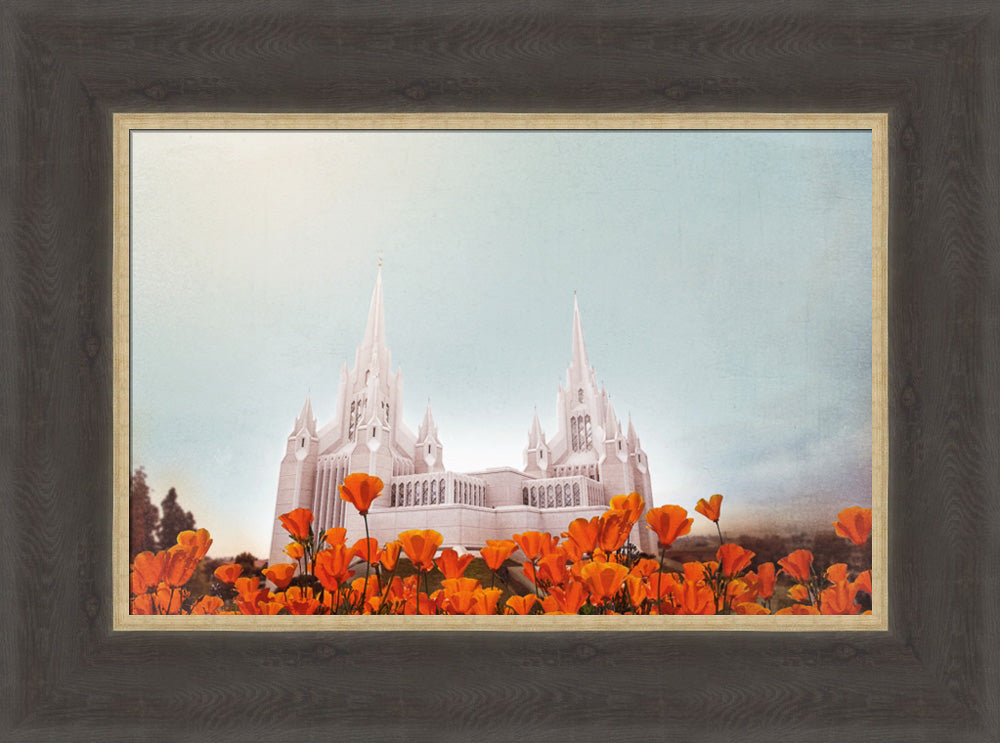 San Diego Temple- All Things Bright & Beautiful