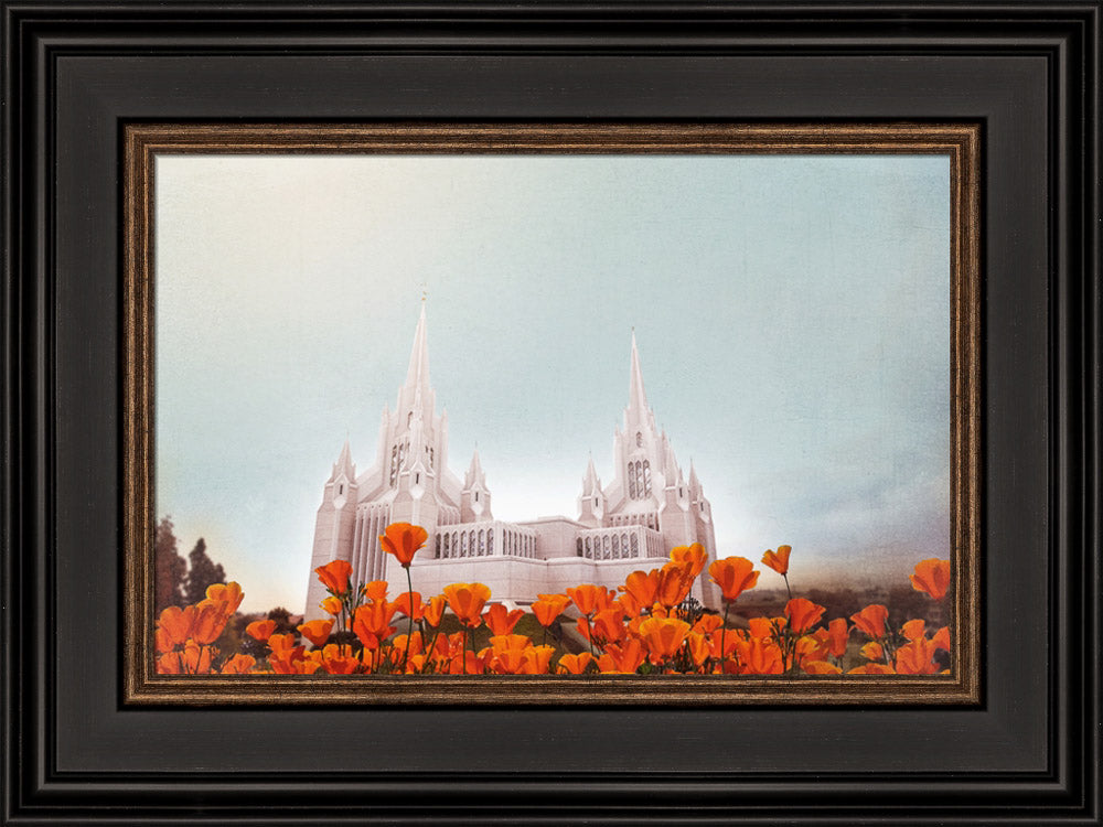 San Diego Temple- All Things Bright & Beautiful