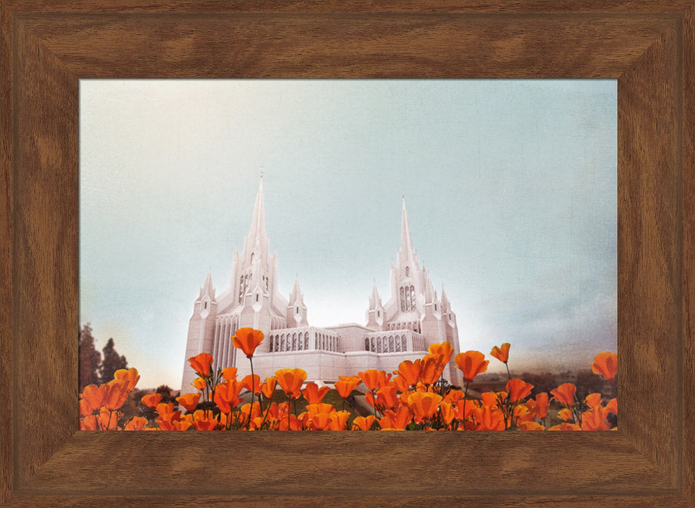 San Diego Temple- All Things Bright & Beautiful