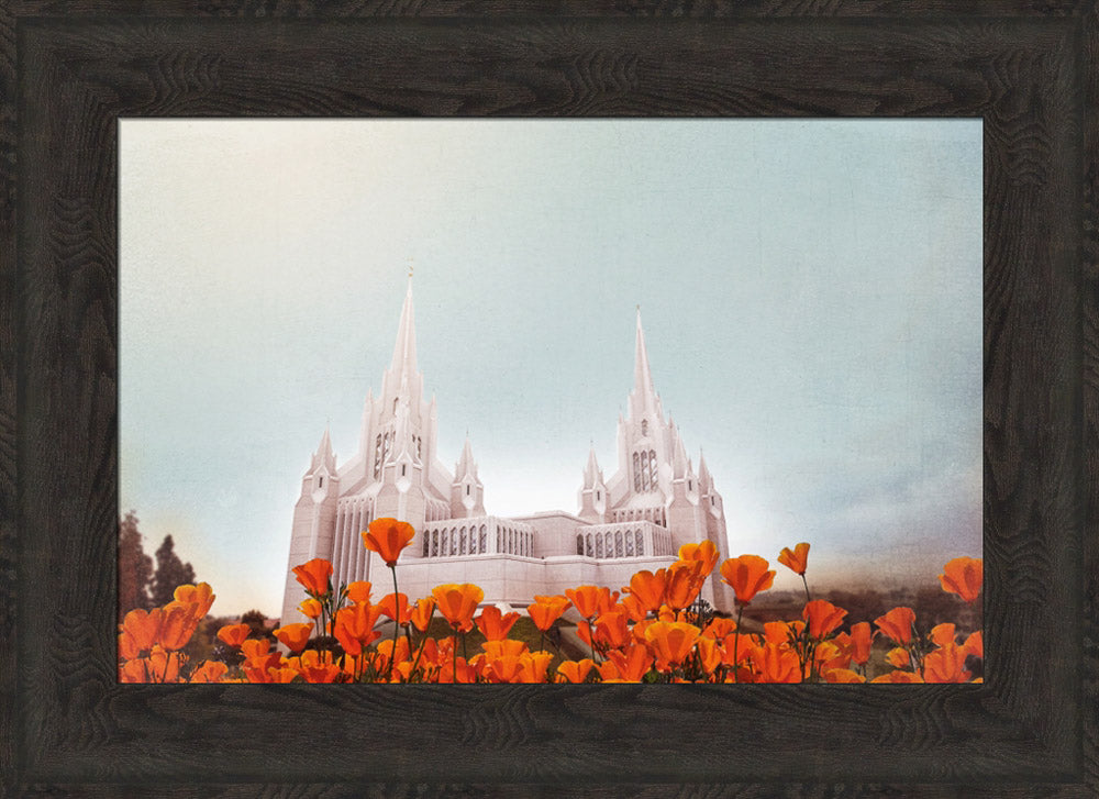 San Diego Temple- All Things Bright & Beautiful