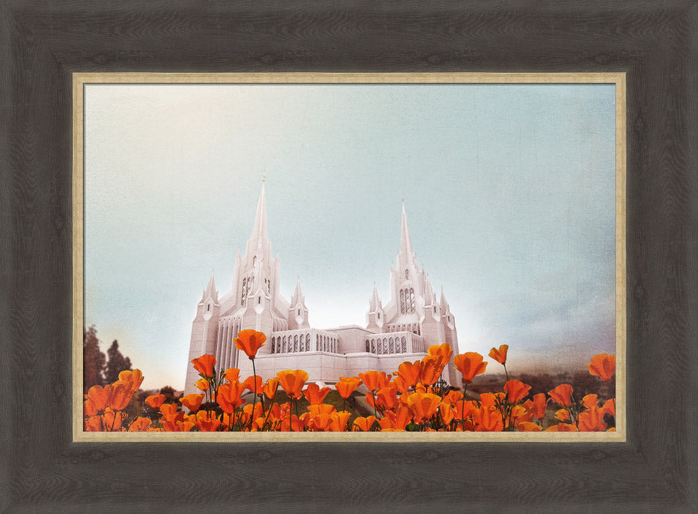San Diego Temple- All Things Bright & Beautiful