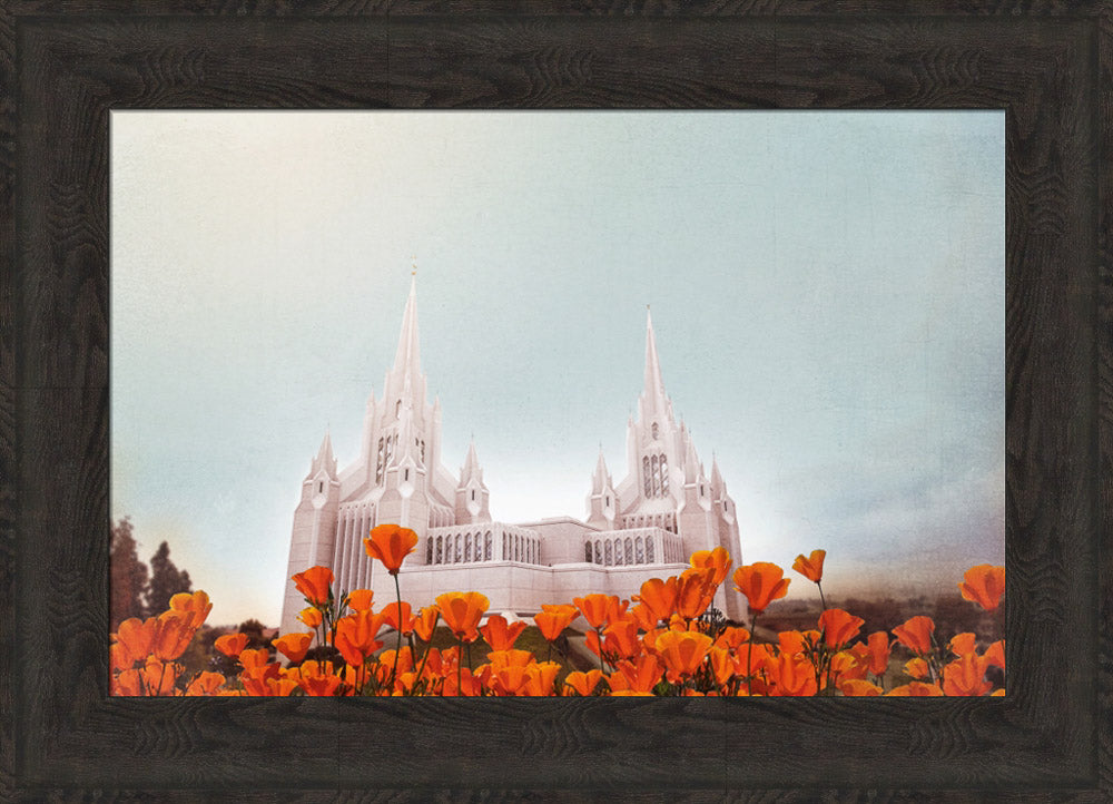 San Diego Temple- All Things Bright & Beautiful