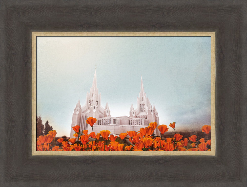 San Diego Temple- All Things Bright & Beautiful