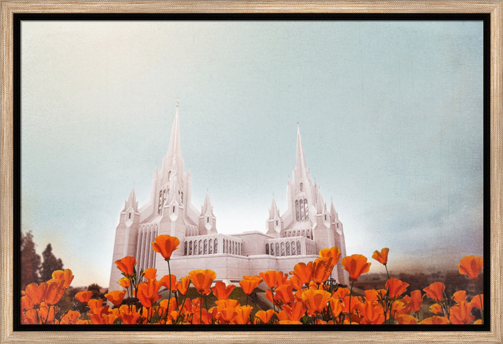 San Diego Temple- All Things Bright & Beautiful
