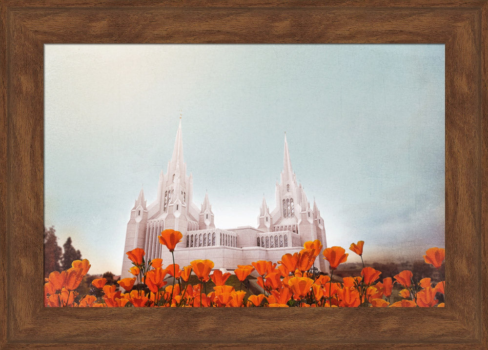 San Diego Temple- All Things Bright & Beautiful