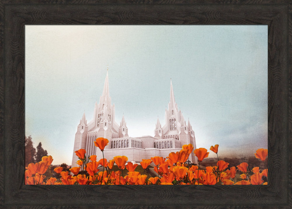 San Diego Temple- All Things Bright & Beautiful