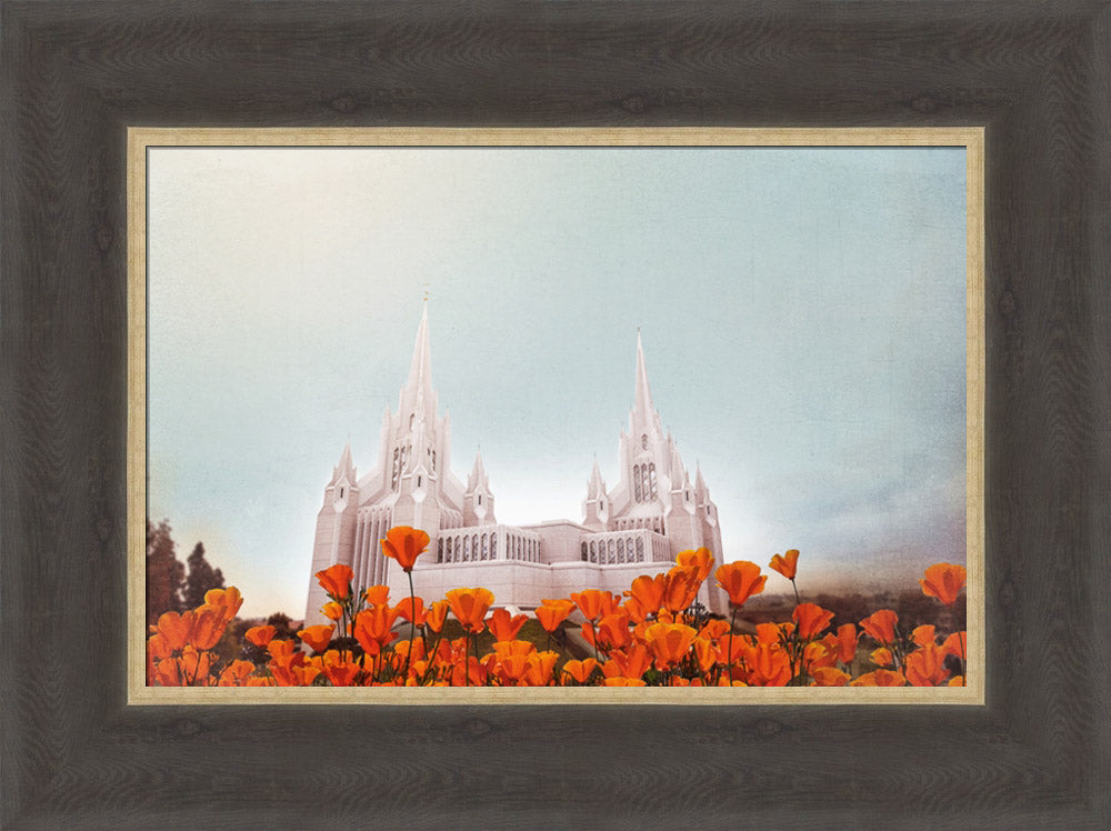 San Diego Temple- All Things Bright & Beautiful