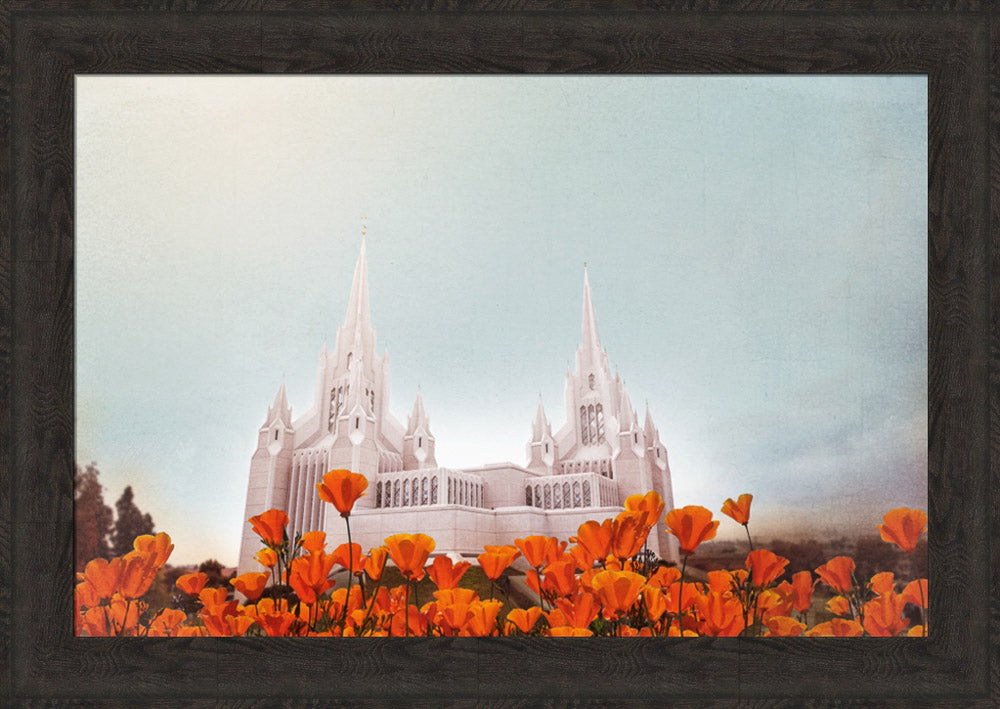 San Diego Temple- All Things Bright & Beautiful