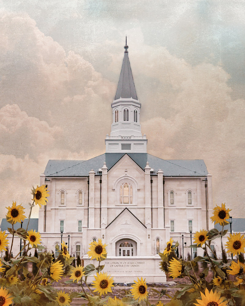 Taylorsville Utah Temple- Wild Sunflowers