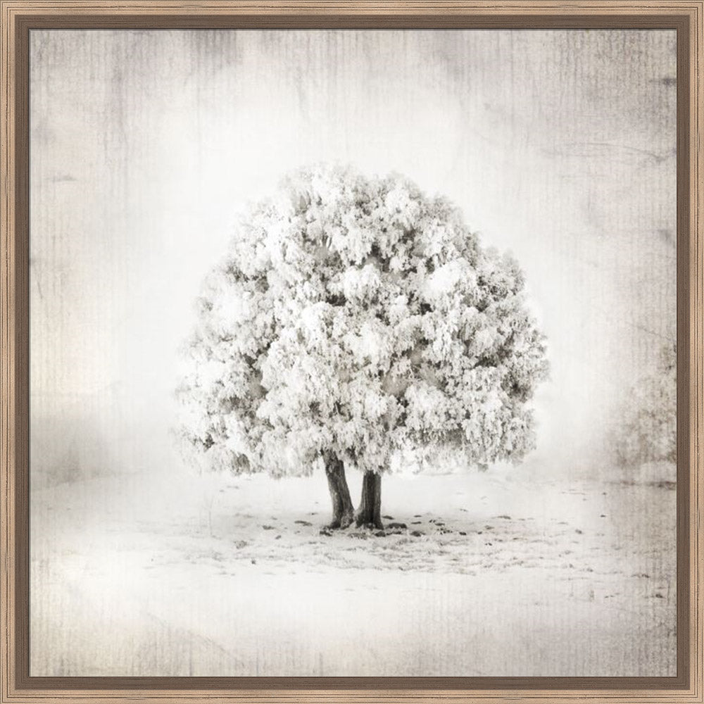 Tree of Life by Mandy Jane Williams