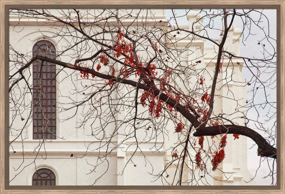 St George Temple - Red Leaves