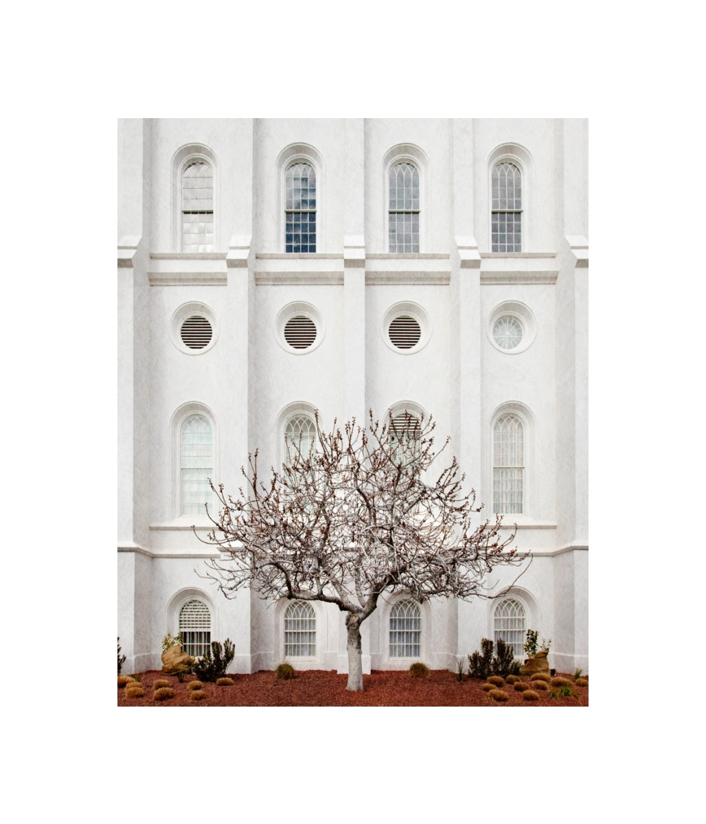 St George Temple - Arbor Alma