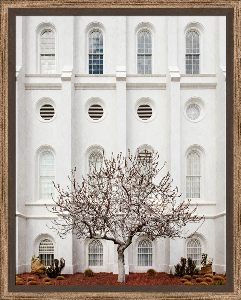 St George Temple - Arbor Alma