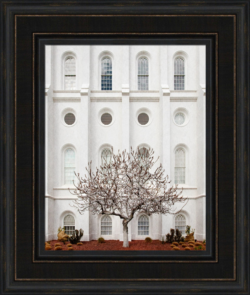 St George Temple - Arbor Alma