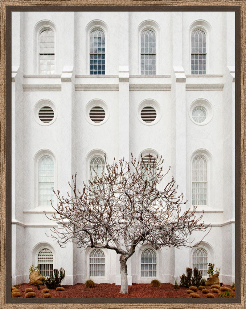 St George Temple - Arbor Alma