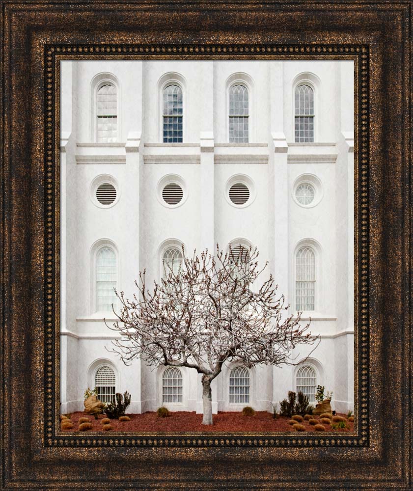 St George Temple - Arbor Alma