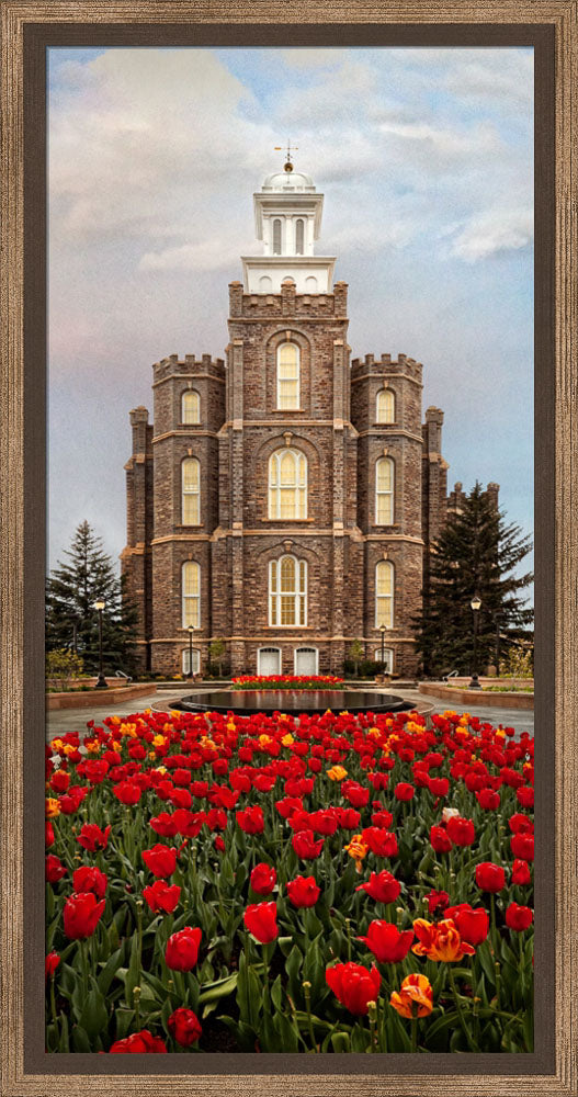 Logan Temple - Tulips