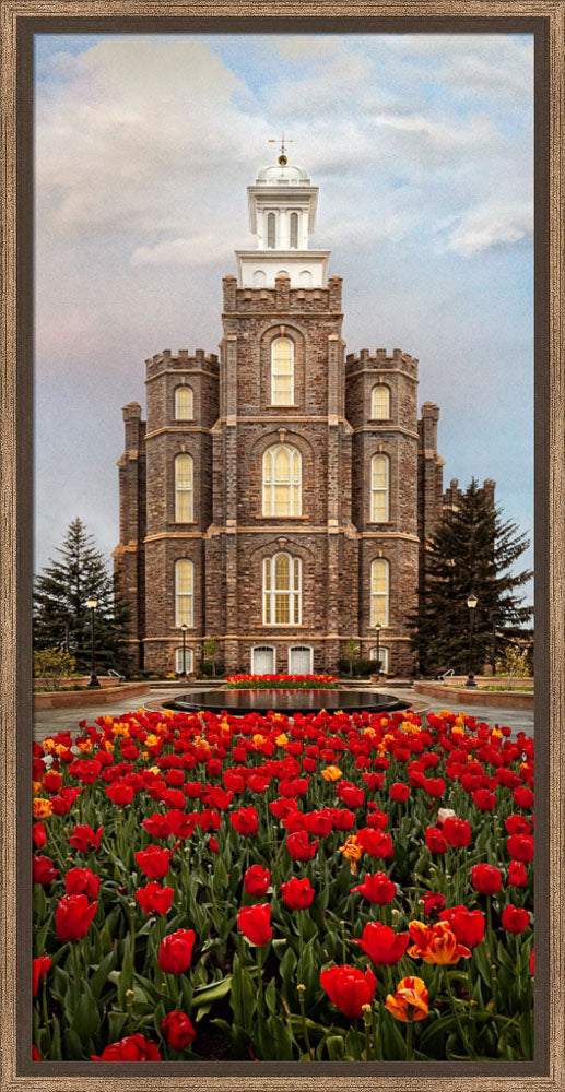 Logan Temple - Tulips