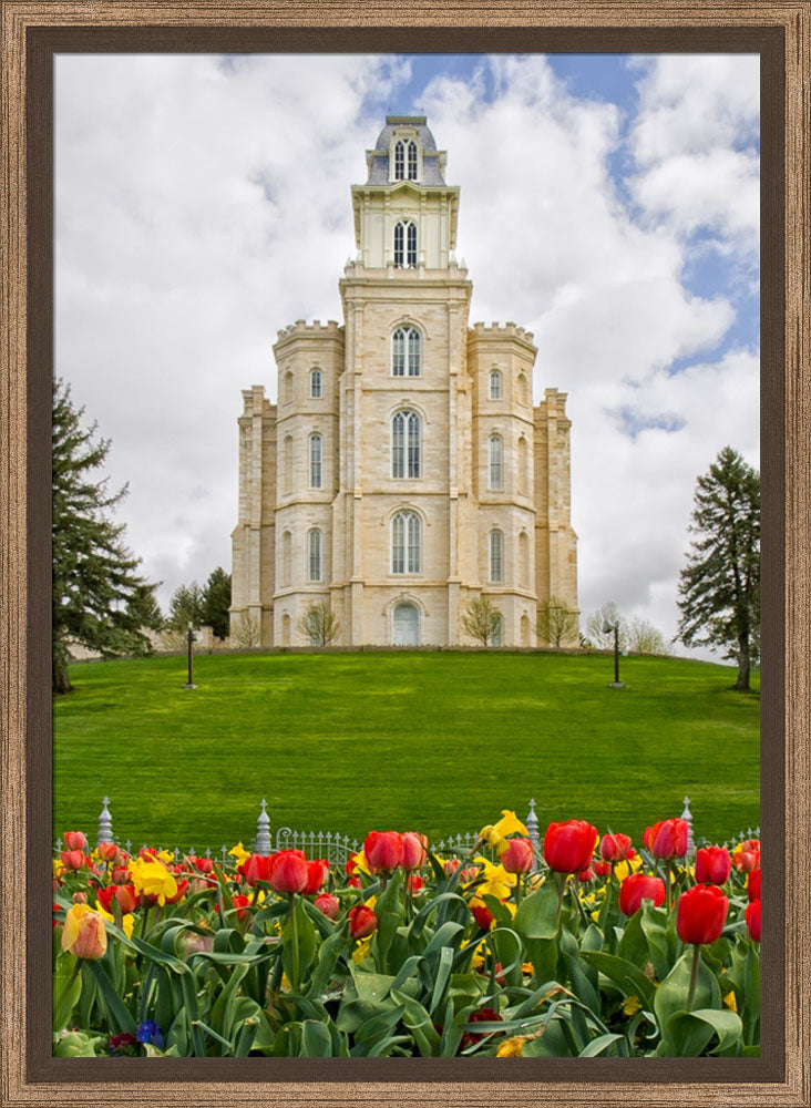 Manti Temple - Tulips and Grass