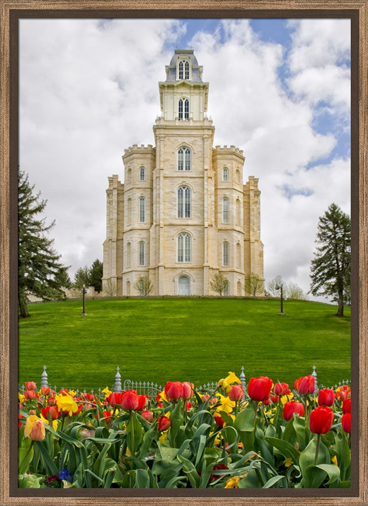 Manti Temple - Tulips and Grass