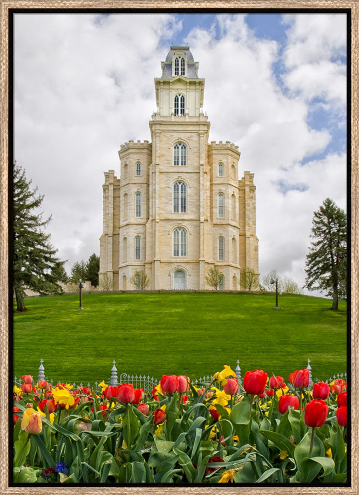 Manti Temple - Tulips and Grass