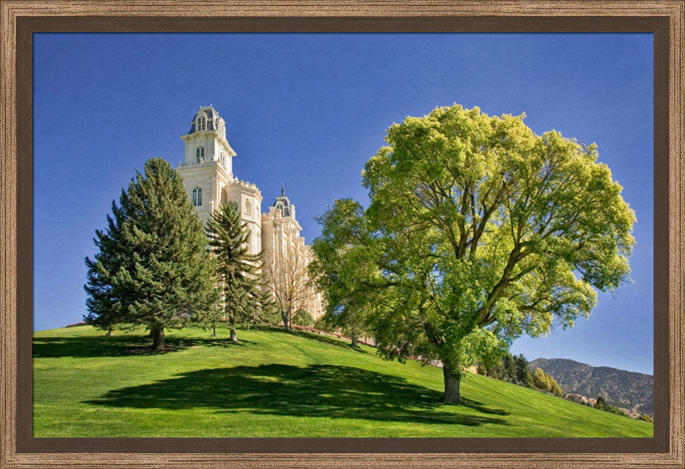 Manti Temple - Summer Tree