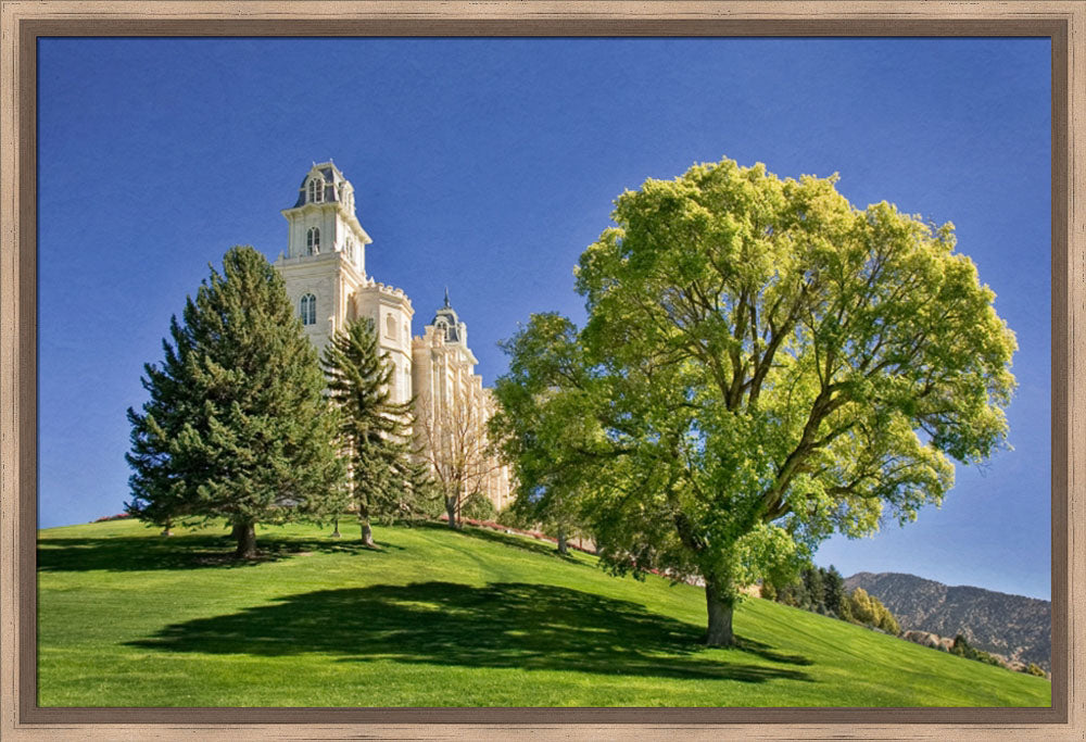 Manti Temple - Summer Tree