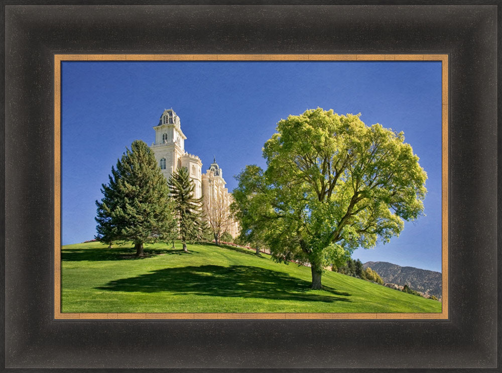 Manti Temple - Summer Tree