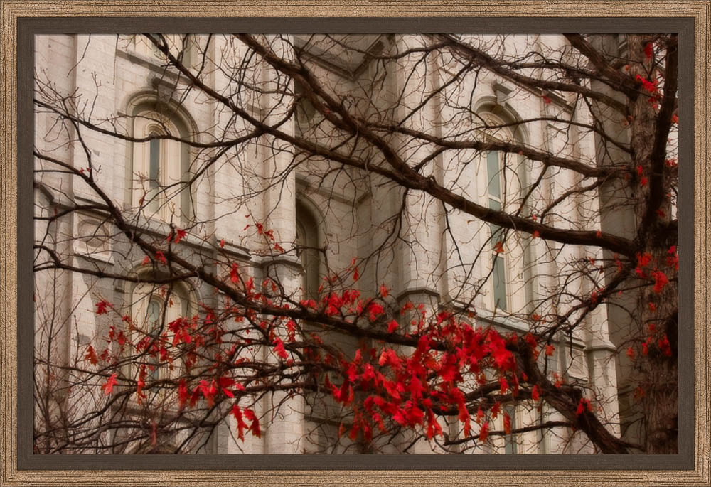 Salt Lake Temple - Amaranthine