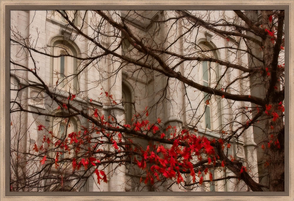 Salt Lake Temple - Amaranthine