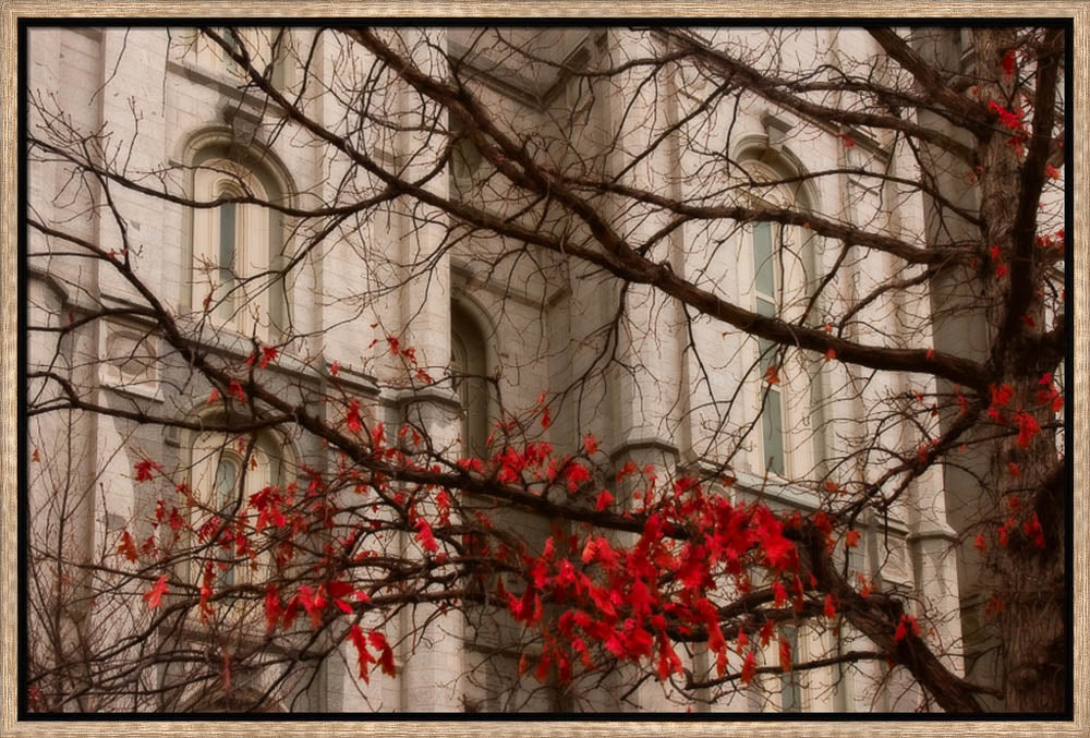 Salt Lake Temple - Amaranthine