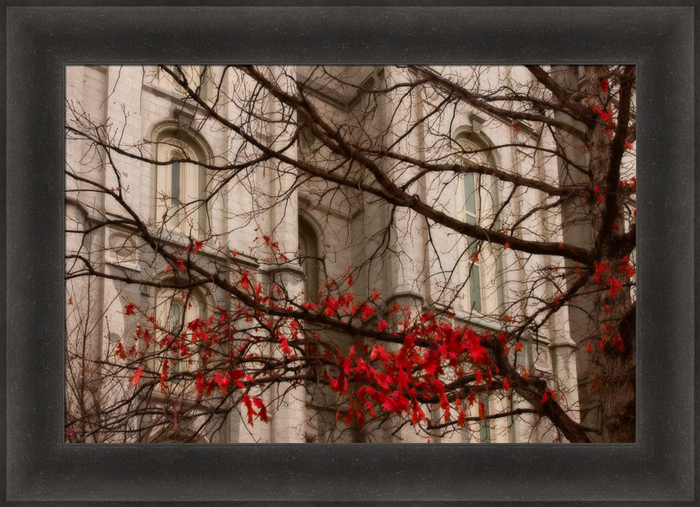 Salt Lake Temple - Amaranthine