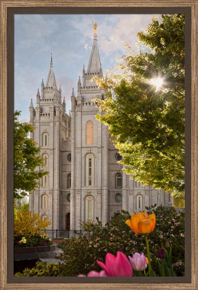 Salt Lake Temple - Springtime in Zion