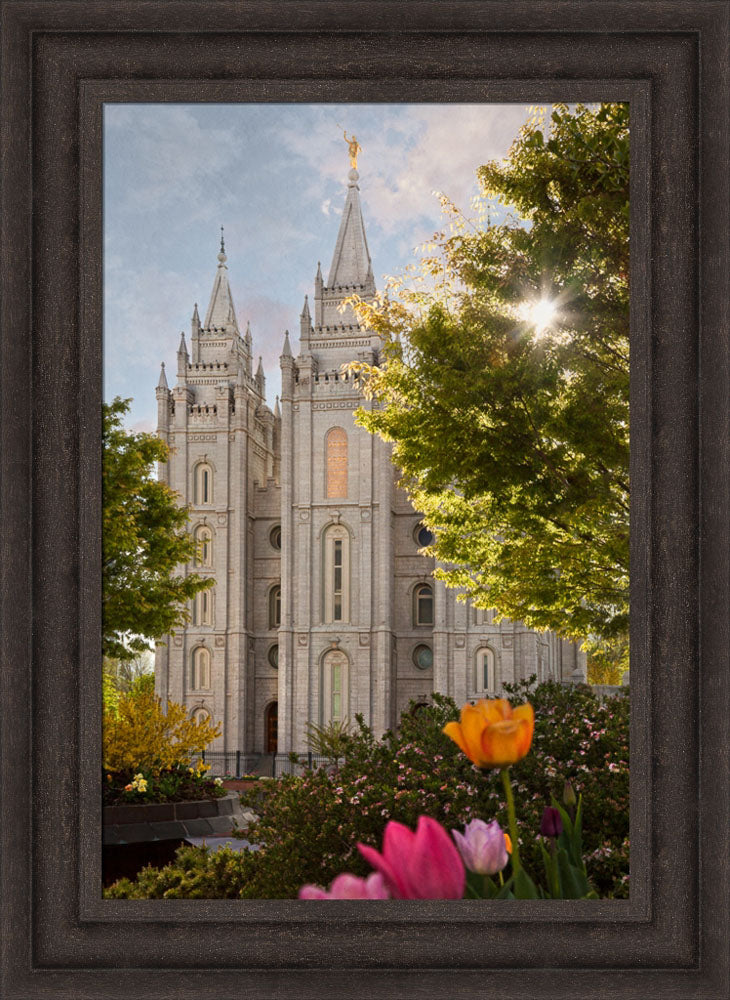 Salt Lake Temple - Springtime in Zion